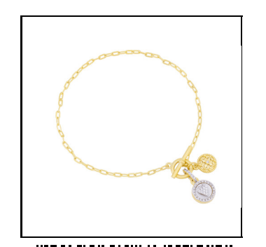 FR Sentiments heart charm chain bracelet - FREIDA ROTHMAN