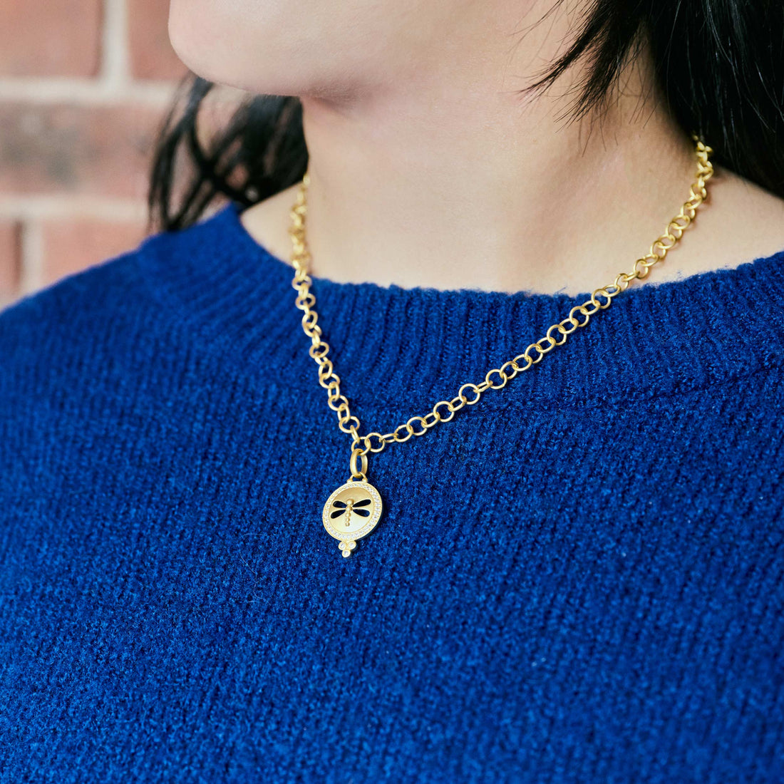 Dragonfly Round Disc Chain Link Necklace - FREIDA ROTHMAN