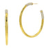 Medium FREIDA ROTHMAN Miss Modern Sleek Hoop Earrings FREIDA ROTHMAN EARRING