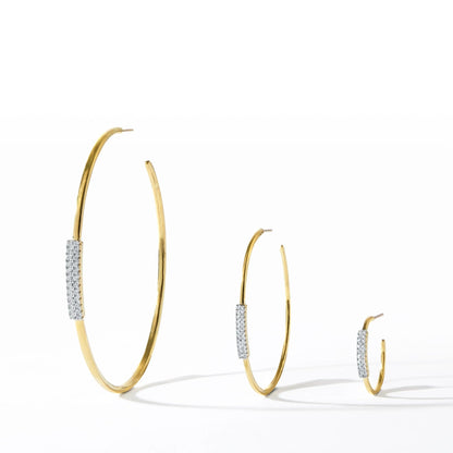 Sleek as a Fox - FREIDA ROTHMAN