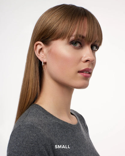 Sleek as a Fox - FREIDA ROTHMAN