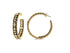 Signature Celestial Hammered Hoop Earrings - FREIDA ROTHMAN